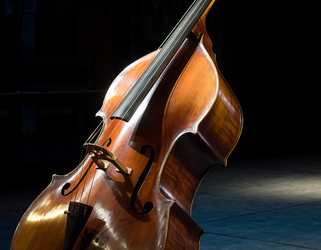 Concert des ensembles - Orchestre à Cordes Frottées