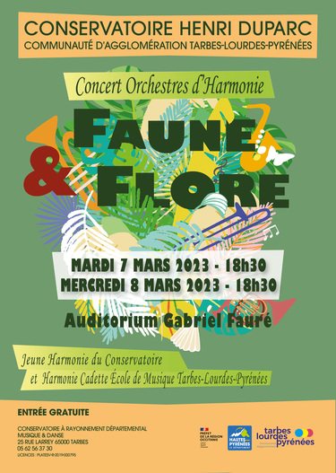 Concert Orchestres d'Harmonie