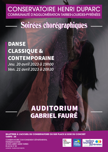 Soirées chorégraphiques - Danse classique & contemporaine